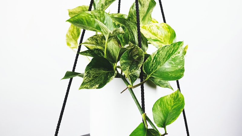 演播室内的专家正在分析比赛战术画面